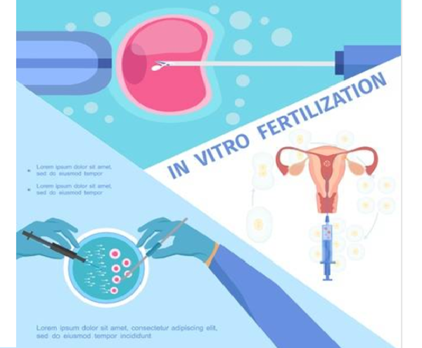 杰特宁试管婴儿胚胎植入前遗传学诊断技术应用